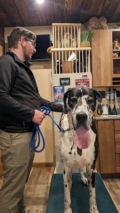 Noah's Ark Animal Hospital Picture 4