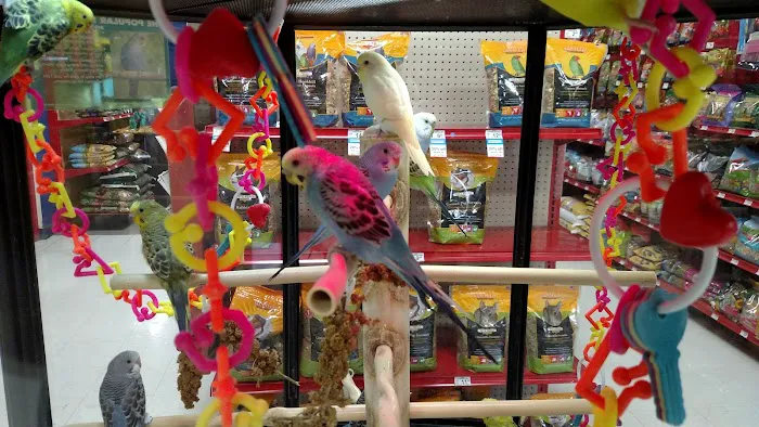Petco Picture 5