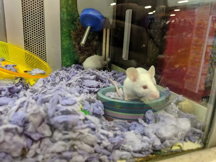 Petco Picture 10