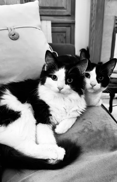 Chuck & Don's Pet Food & Supplies Picture 4