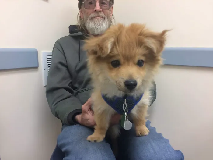 Schoharie Valley Veterinary Clinic PC Picture 5