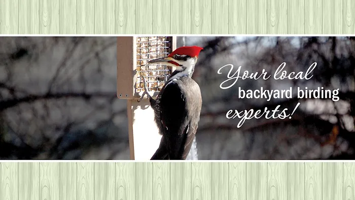 All Seasons Wild Bird Store Picture 3