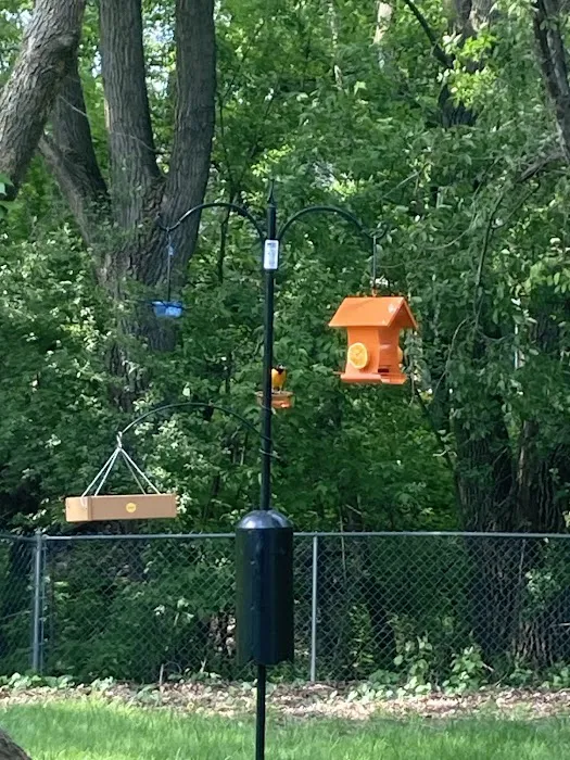 All Seasons Wild Bird Store Picture 6