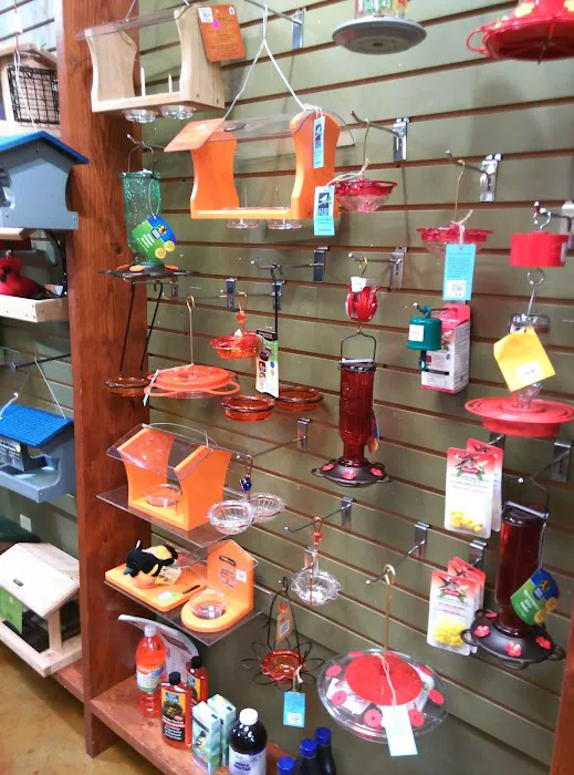 All Seasons Wild Bird Store Picture 7