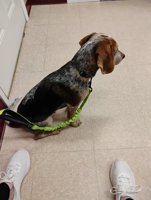 Little Falls Veterinary Clinic Picture 3