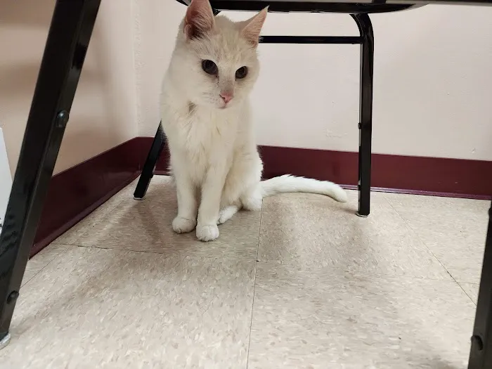 Little Falls Veterinary Clinic Picture 1