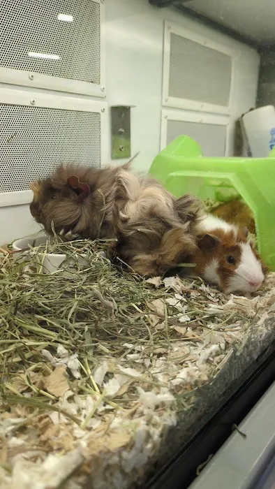 Petco Picture 5