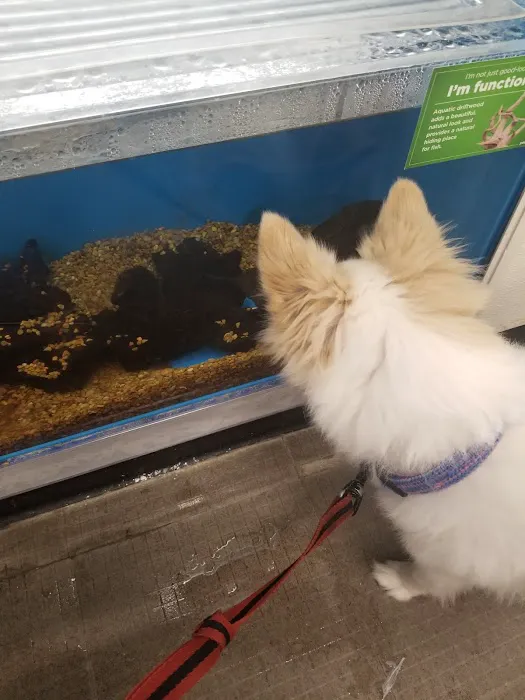 Petco Picture 9