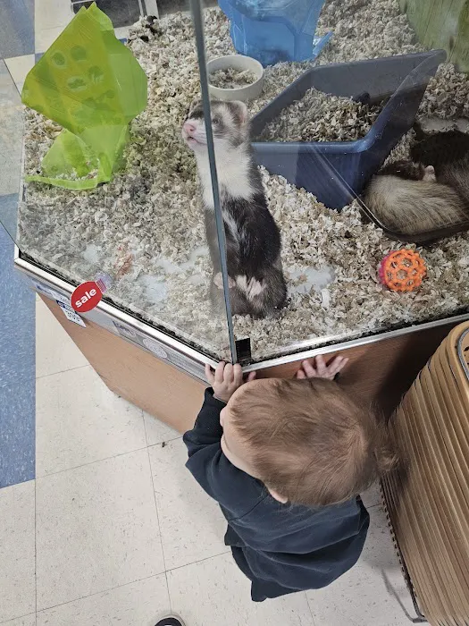 Petco Picture 7