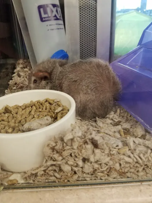Petco Picture 10