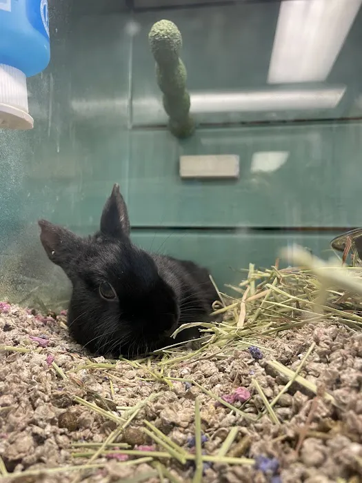 Atlas Pet Supply Picture 10