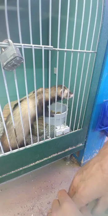 Atlas Pet Supply Picture 7