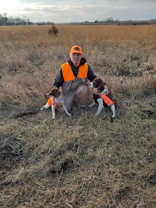 Upland Meadows English Springer Spaniels Picture 2