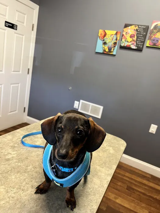 Lafayette Veterinary Clinic Picture 3