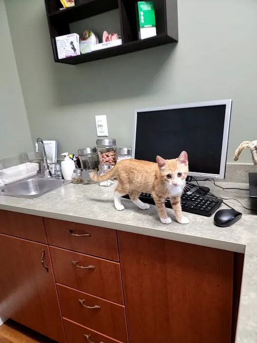 Lafayette Veterinary Clinic Picture 4