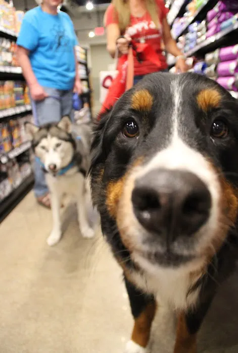 Chuck & Don's Pet Food & Supplies Picture 8