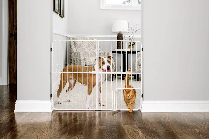 Carlson Pet Products Picture 10