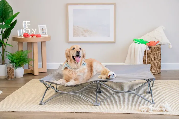 Carlson Pet Products Picture 8