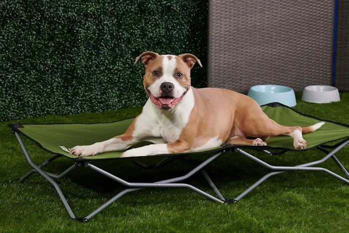 Carlson Pet Products Picture 9