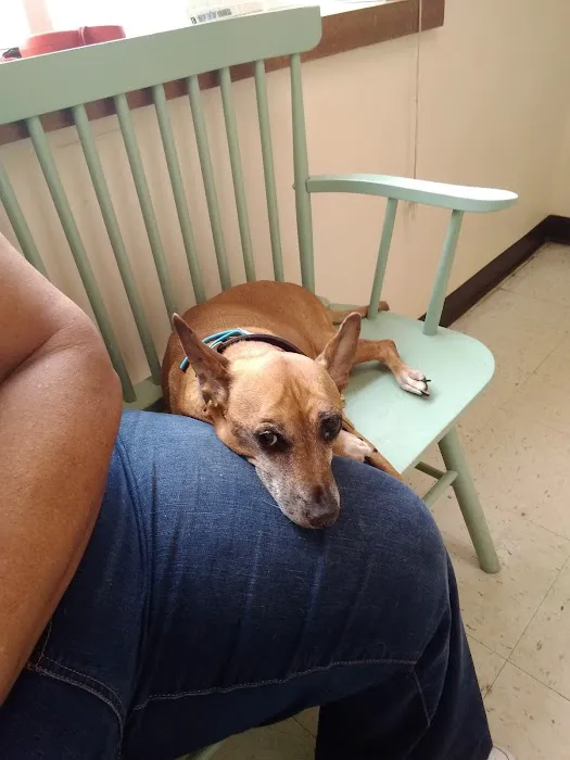 Dewitt Veterinary Medical Center Picture 2