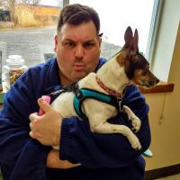 Dewitt Veterinary Medical Center ico