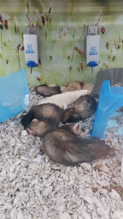 Petco Picture 1
