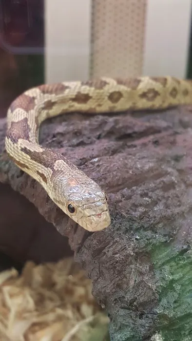 Petco Picture 2