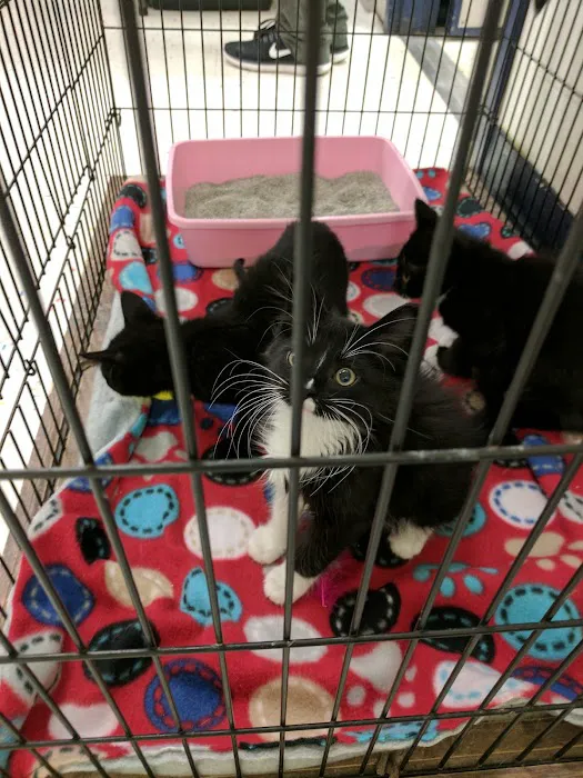 Petco Picture 5