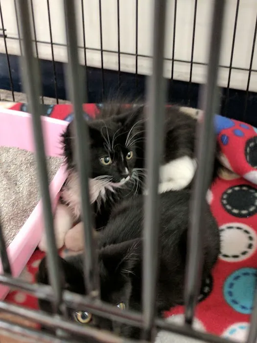 Petco Picture 3