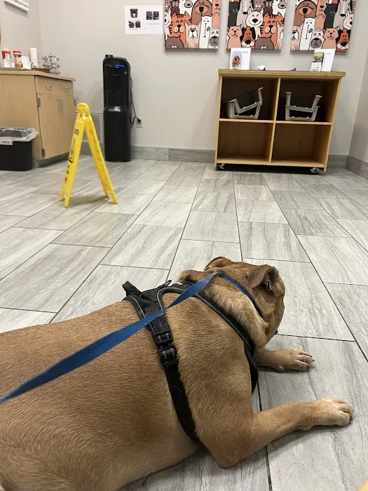 Veterinary Medical Center of CNY Picture 7