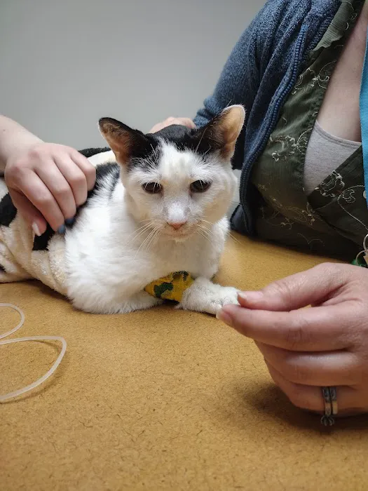 Veterinary Medical Center of CNY Picture 10