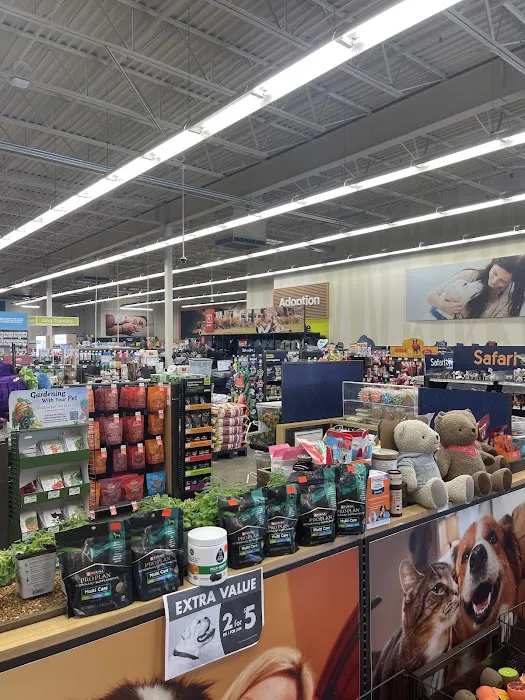 Petco Picture 1