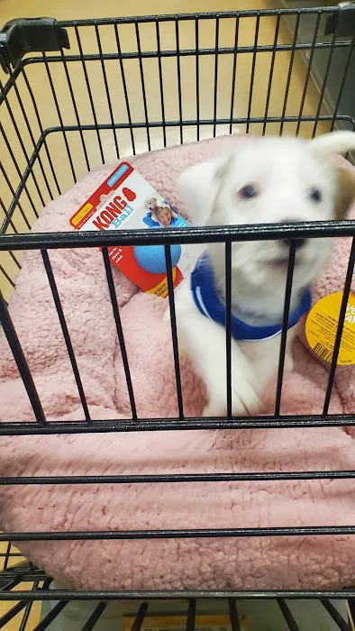 Petco Picture 9