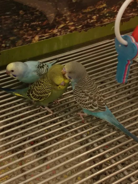 Petco Picture 5