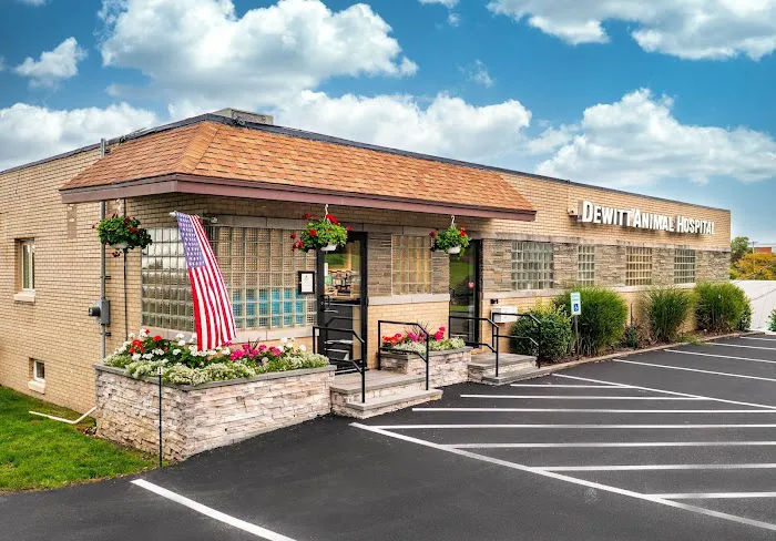 DeWitt Animal Hospital, P.C. Picture 10