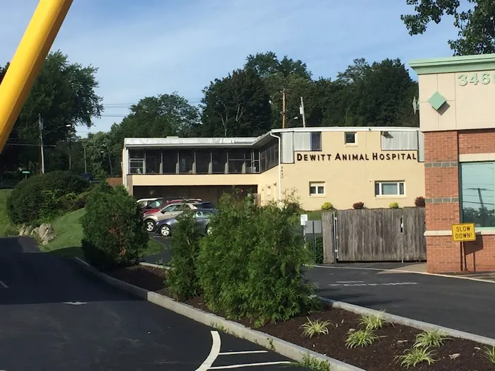 DeWitt Animal Hospital, P.C. Picture 5