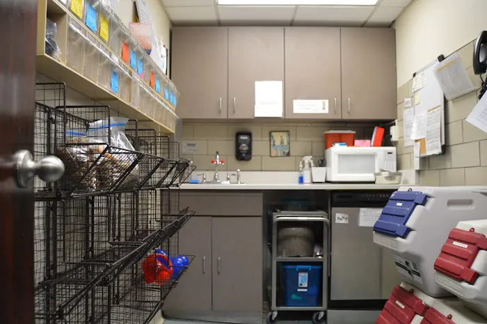DeWitt Animal Hospital, P.C. Picture 3