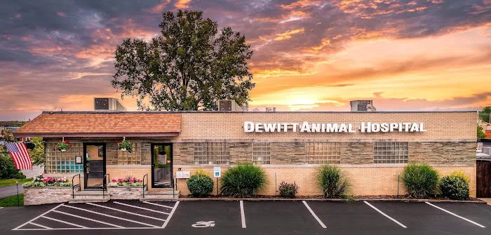 DeWitt Animal Hospital, P.C. Picture 1