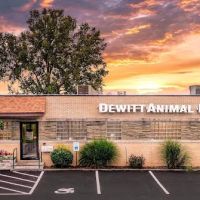 DeWitt Animal Hospital, P.C. ico