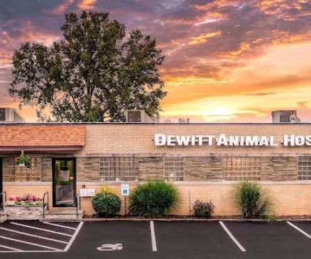 DeWitt Animal Hospital, P.C.