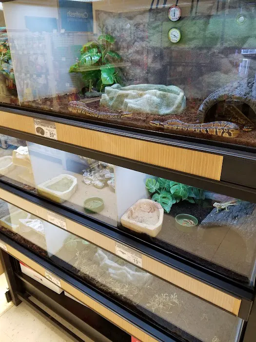 Petco Picture 8