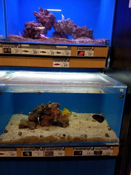 Petco Picture 5
