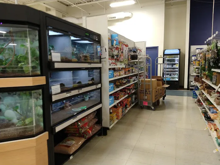 Petco Picture 4