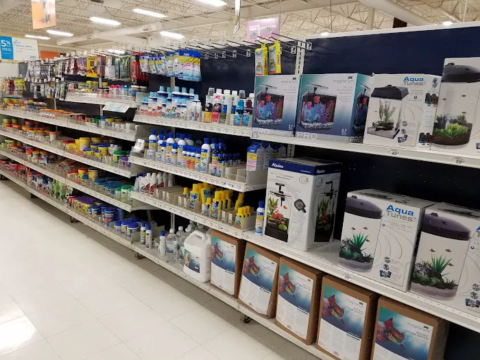 Petco Picture 7