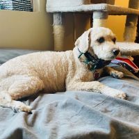 Chuck & Don's Pet Food & Supplies ico