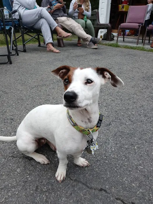 Adirondack Veterinary Service Picture 5