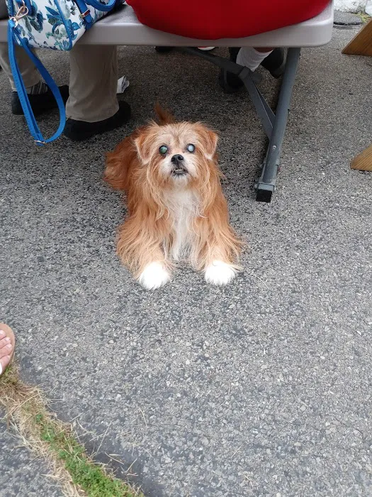 Adirondack Veterinary Service Picture 6