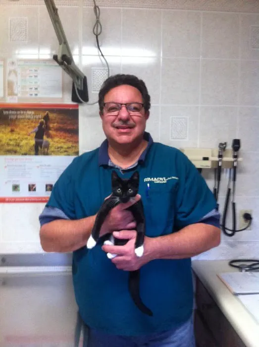 Adirondack Veterinary Service Picture 8