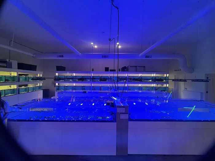 MN Aquatics Picture 2