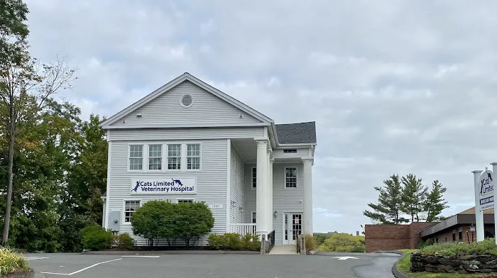 Cats Limited Veterinary Hospital Picture 2